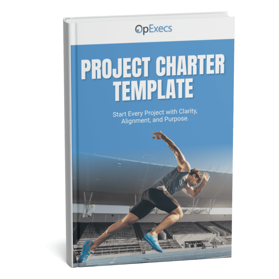 Project Management Consulting - Lead Magnet