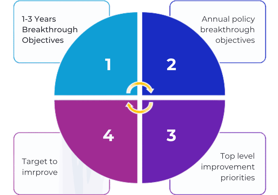 Program and Portfolio Management - Infographic