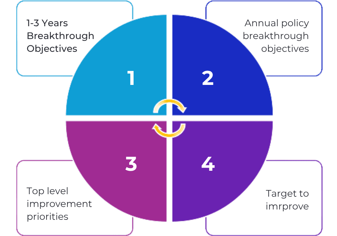 Program and Portfolio Management - Infographic